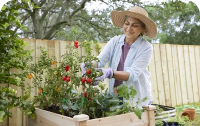 A woman taking care of plants in backyard